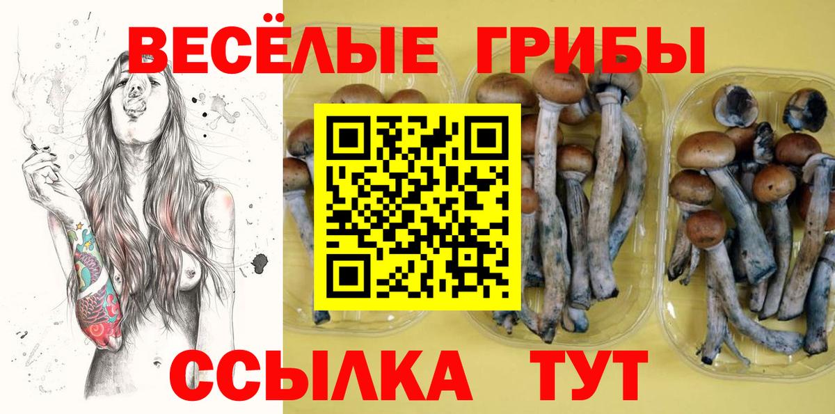 Добрянка  Галлюциногенные грибы мухоморы  Вход с VPN 